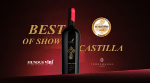 LCA Terramagna, Best of Show Castilla
