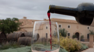 Bodega Terramagna